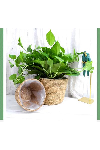 Enyaza Home Set of 2 Natural Flower Pots Wicker V Hand Knitted - 23*23 cm 19*19 cm Nylon Interior Set