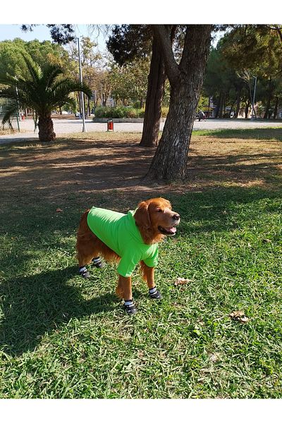bubblecutepaw Patici Combed Cotton Dog Sweatshirt