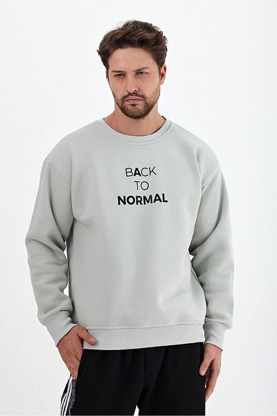 THE RULE Ανδρικό φούτερ Ice Grey Oversize - Crew Neck, Soft Feather, Printed
