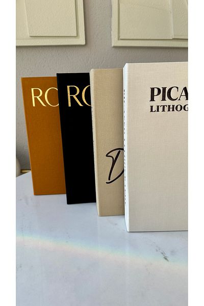 irayhomedecor Комплект от 4 декоративни кутии за книги, покрити с плат (Picasso-degas-auguste)