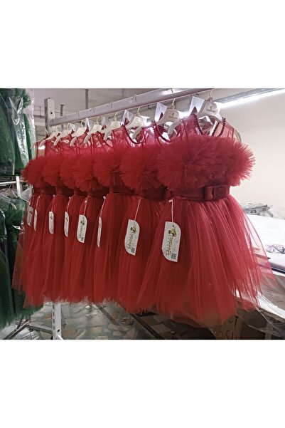 TREEMASS Abiye Kız çocuk Elbisesi Tüllü Saten İncili Düğün ve Doğum Günü