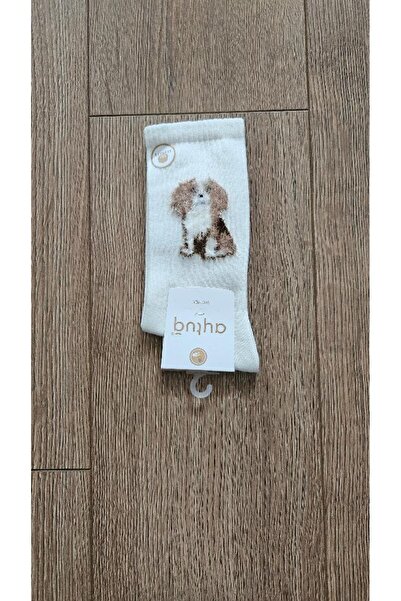 Aytuğ Saac 3 Black Cream Gray Double Maltese Terrier Patterned Socks - 41094-3