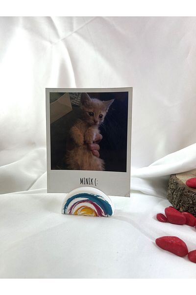 Melouro Colorful Rainbow Note Holder, Photo and Card Holder, Note Holder Wedding Name Holder