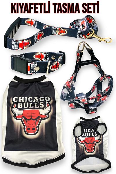 z zizuph Clothed Dog Collar Set