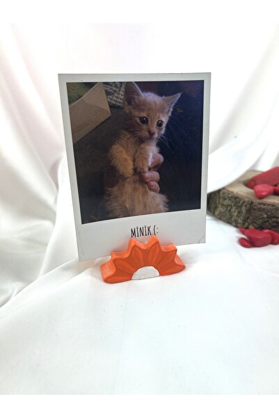 Melouro Orange Daisy Note Holder, Photo and Card Holder, Note Holder Wedding Name Holder