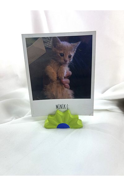 Melouro Pistachio Green Blue Daisy Note Holder, Photo and Card Holder, Note Holder Wedding Name Holder