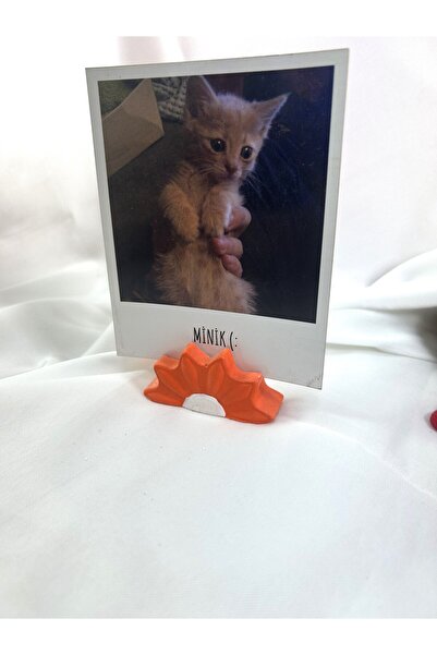 Melouro Orange Daisy Note Holder, Photo and Card Holder, Note Holder Wedding Name Holder