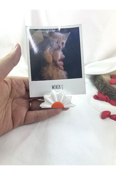 Melouro White Orange Daisy Note Holder, Photo and Card Holder, Note Holder Wedding Name Holder
