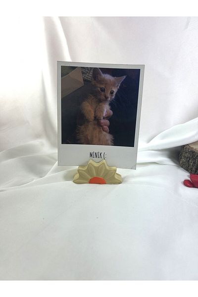 Melouro Cashmere Daisy Note Holder, Photo and Card Holder, Note Holder Wedding Name Holder