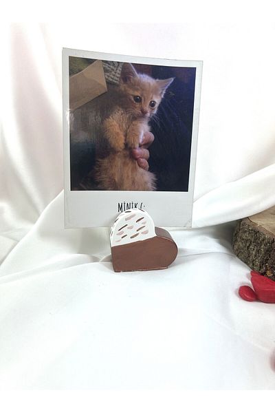 Melouro Copper Heart Note Holder, Photo and Card Holder, Note Holder Wedding Name Holder
