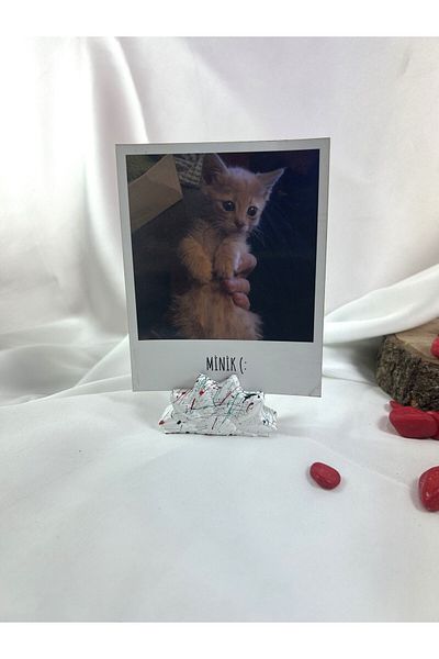 Melouro Splashing Daisy Note Holder for Wedding - Photo and Card Holder, Note Holder