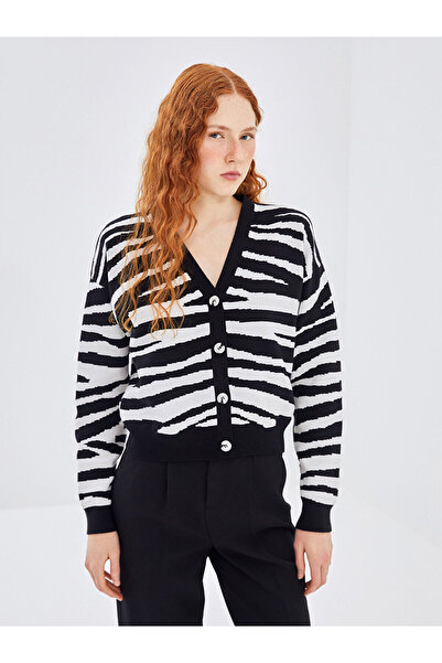 LC Waikiki سترة نسائية محبوكة بنقشة الحمار الوحشي ورقبة على شكل حرف V