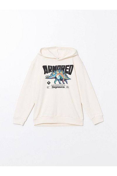 LC Waikiki Hooded Boy's Sweatshirt