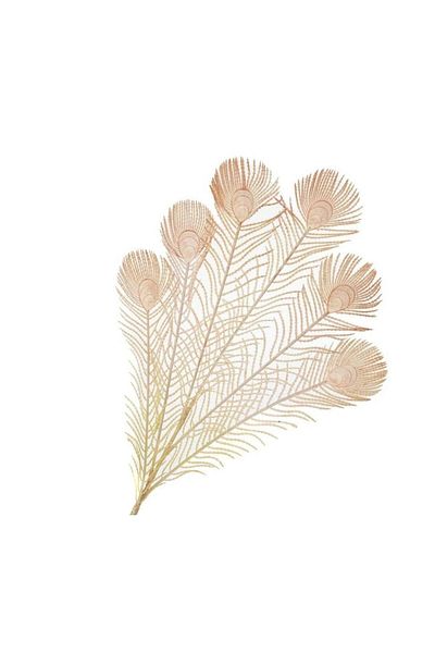 Mikasa Moor Τεχνητό Λουλούδι Plumy Pink 75cm P358.387952