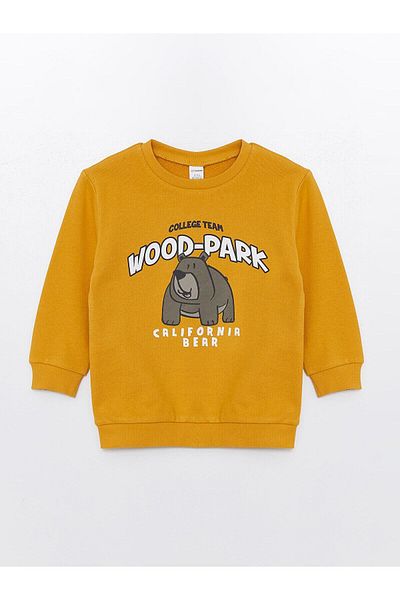 LC Waikiki LCW Kids Crew Neck Χοντρό εμπριμέ φούτερ για αγόρι