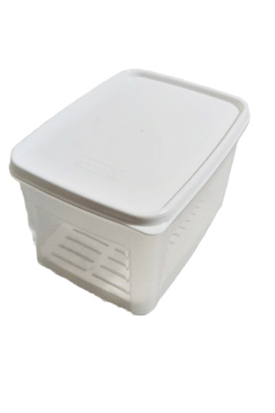 Geseus Moonstar Süzgeçli Peynir Saklama Kabı 2 Litre BPA FREE-MS06