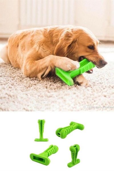 NextGen Styles Dog Teeth Cleaner and Scratcher Healthy Small Size Toy