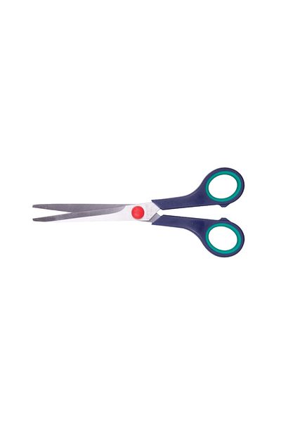 Amazex Store Taksun 7'' (18cm) C2007 Model Scissors