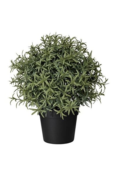 IKEA Yapay Çiçek Biberiye Yeşil 9 cm Yapay Bitki Ev Dekorasyon