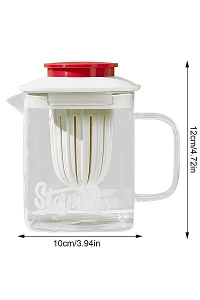 Rosemor Heat Resistant Borosilicate Steel Filtered Herbal Tea Glass Teapot with Strainer & 850 mlJug with Handle