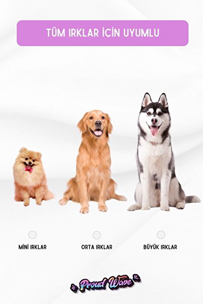 Proud Wave Köpek Oyuncağı 2 Adet Köpek Topu Eğitim Topu Stres İpten Top 9 cm Büyük