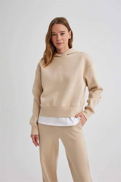 DeFacto Boxy Fit Hooded Thick Basic Plain Sweatshirt B8570ax24sp