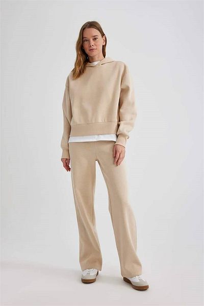 DeFacto Boxy Fit Hooded Thick Basic Plain Sweatshirt B8570ax24sp