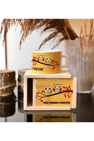 Gift Moda Baykuş Best Friend Tasarımlı Kutulu Kupa