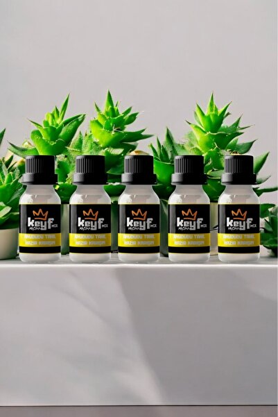 5 ADET AHUDUDU TAHIL HAZIR KARIŞIM TAHIL AROMASI 50 ML