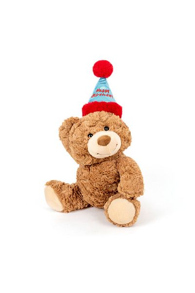 Choice 40cm Birthday Bear Cute Soft Fluffy Birthday Hat Teddy Bear Stuffed Toy For Girlfriend Valentine's D