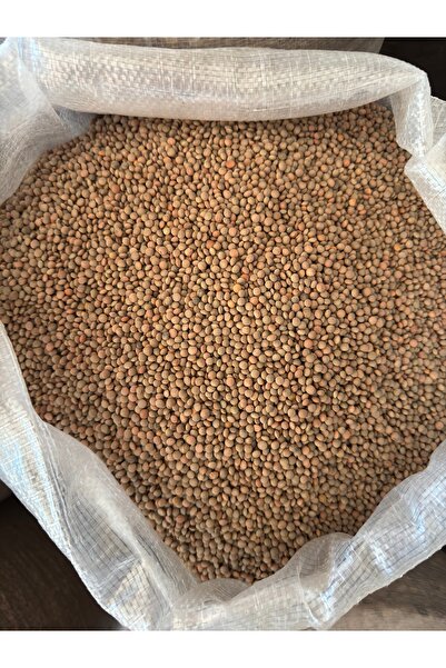 Tat Yeşil Köy Mercimeği 1 KG