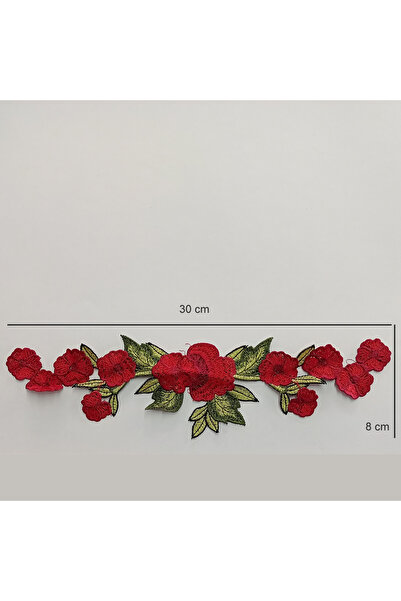 AĞIRSOY 10 bucăți de broderie cu flori roșii