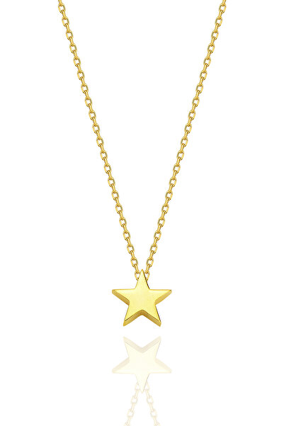 Bilsen Store 925 Ayar Gümüş Zincirli Altın Kaplama Minik Yıldız Kolye