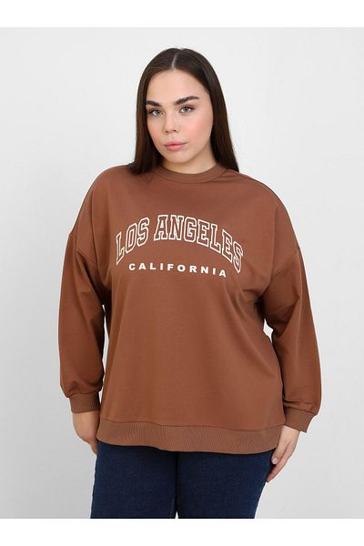 ALİA Καφέ φούτερ με λεπτομέρεια Alia Print - Plus Size