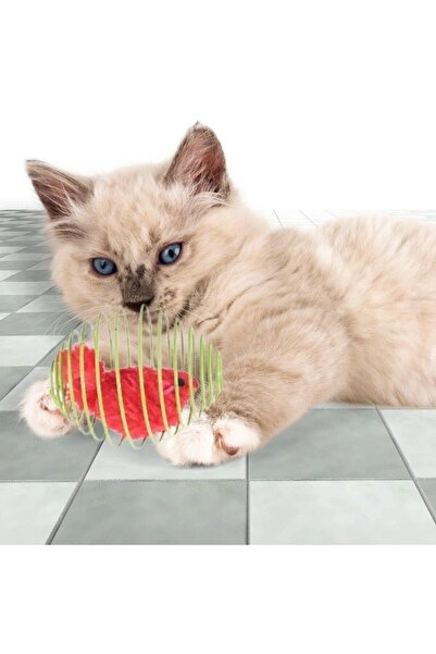 MenSak Buffer ®   Spring Metal Mouse Cage Cat Play Ball Bounce Spiral Cat Ball