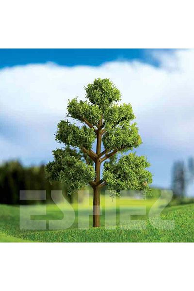 Jordania Eshel Light Colored Maple Set of 2 9 cm