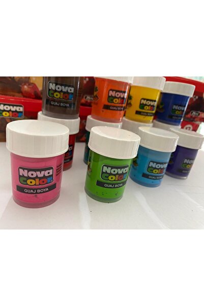 Nova Color 12 Adet 25 ml Guaj Boya