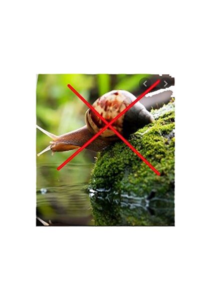 Cegel Ziraat Salyangoz, Sümüklü Böcek Pelet Yemi 1 Kg