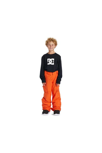 DC Orange Boy's Flat Waterproof Ski Pants Adbtp03011