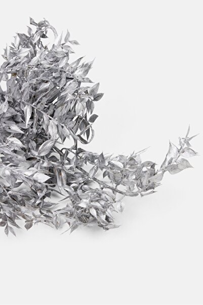 Muy Mucho Dried Preserved Ruscus Flowers 70 cm, Silver