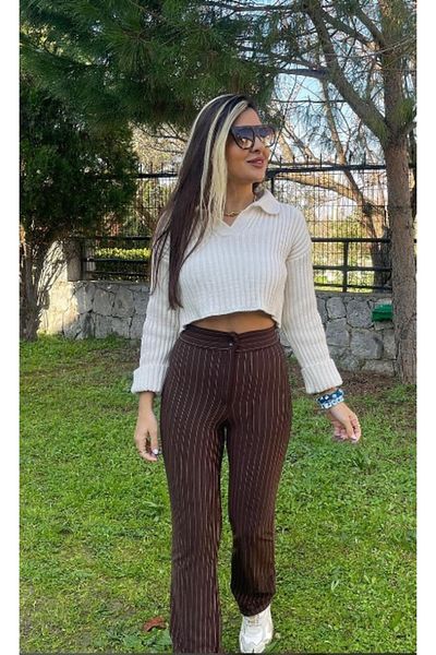 LADY HAZAL Brown Heightening Waist Striped Pants Palozzo Pants Crepe Fabric