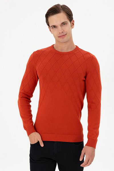 U.S. Polo Assn. BAZA. Polo Assn. G081Sz0Tk- 1955102   Pulover de tricotaj pentru bărbați
