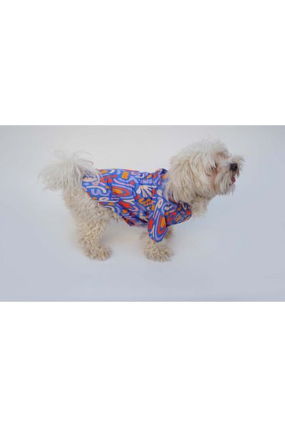 Monopetz Blue Freedom Mesh Dog - Raincoat and Outfit, Dog Clothing