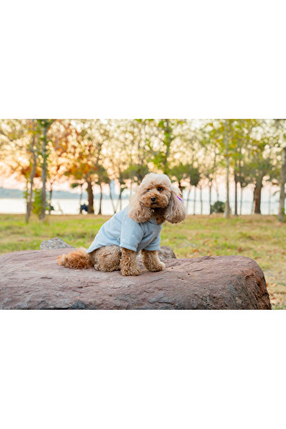 Buddy Store سويت شيرت أزرق من القماش الناعم - ملابس للقطط والكلاب بنمط نجمة (SILVERY)