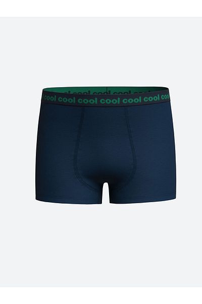 LC Waikiki New Season Printed Boy's Boxer 3 τεμαχίων - W40352Z4