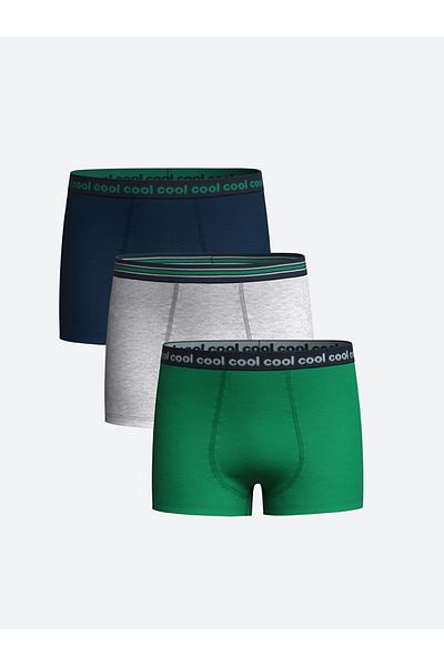LC Waikiki New Season Printed Boy's Boxer 3 τεμαχίων - W40352Z4