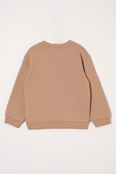 zepkids Crest Detailed Mink Color Boy's Tracksuit Set