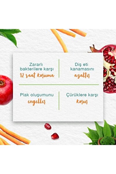 Himalaya Since 1930 Complete Care Diş Macunu, Bitkisel, Vejetaryen, Florürlü, Parabensiz, Güçlü Dişler, 75 Ml 3 Adet