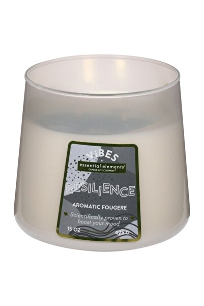 Candle-Lite Essential Elements Aromatic Fougere Scented Jar Candle 15oz