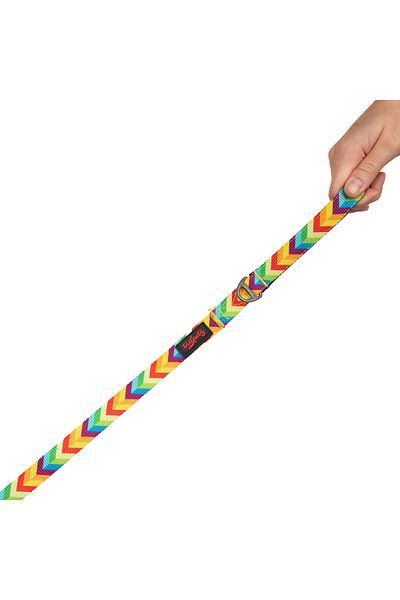 Tailpetz Rainbow Cat Dog Transport and Travel Strap